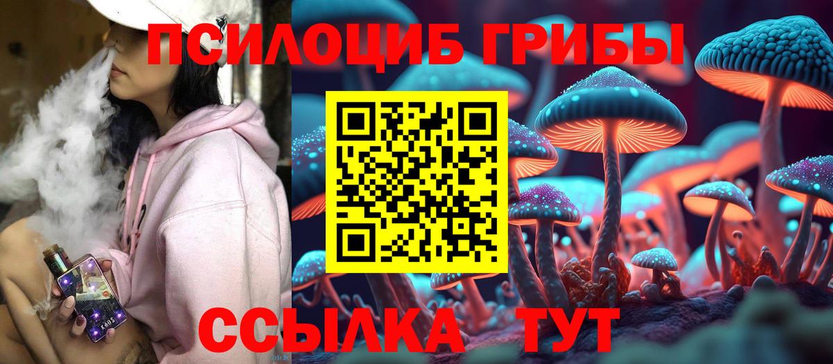 Галлюциногенные грибы Magic Shrooms  Вход с VPN  Мценск 